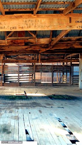 Shearing Shed, SA. 